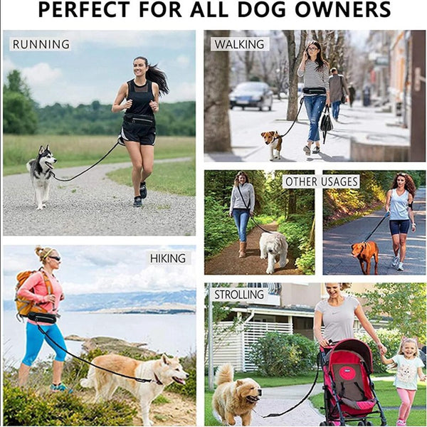 Perfect for all dog owners