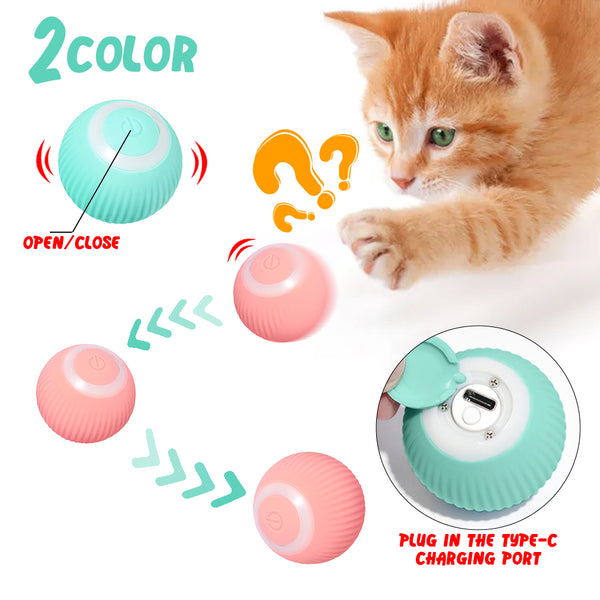 Cat Automatic Rotating Ball